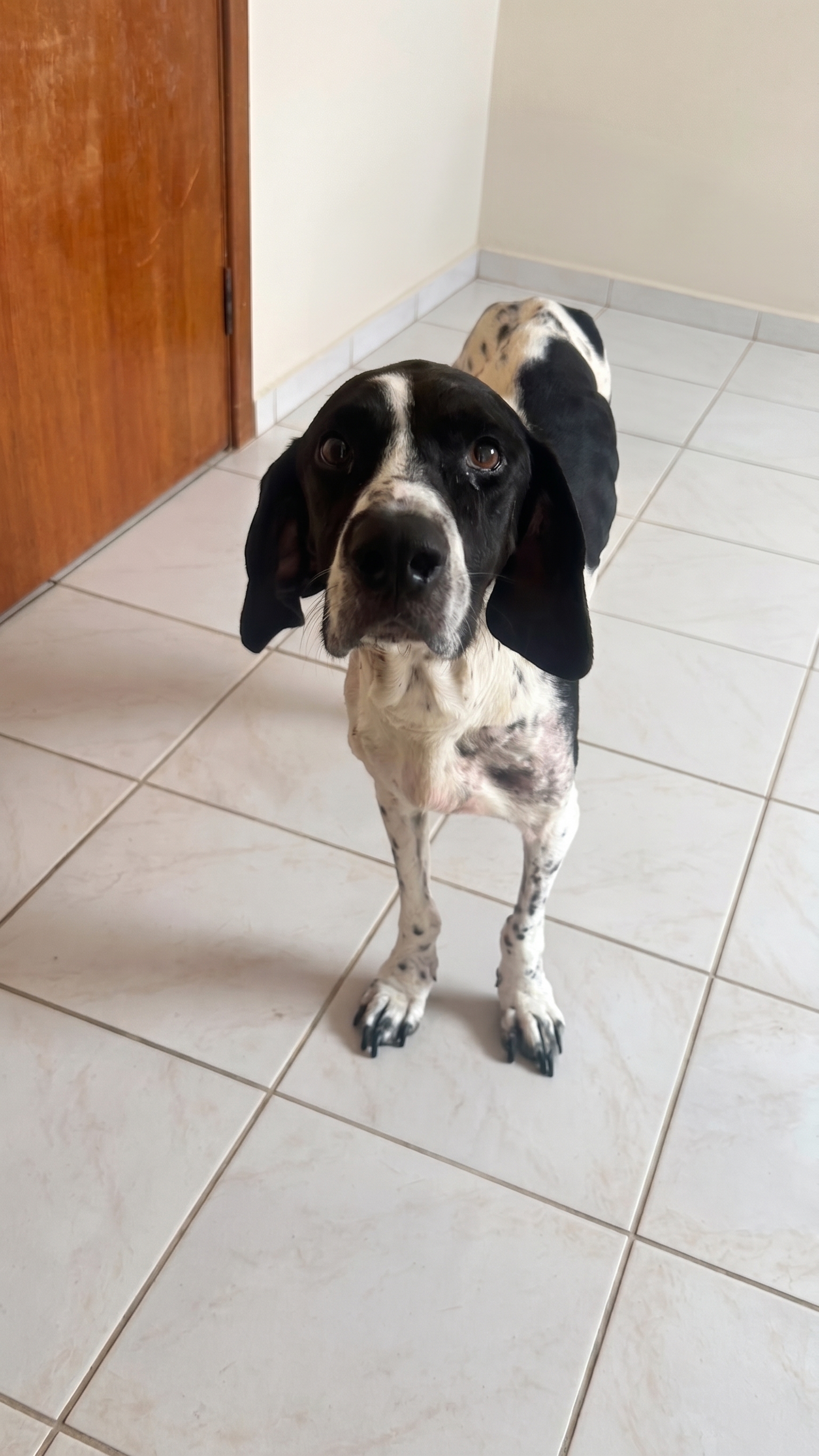 Foto da Minnie